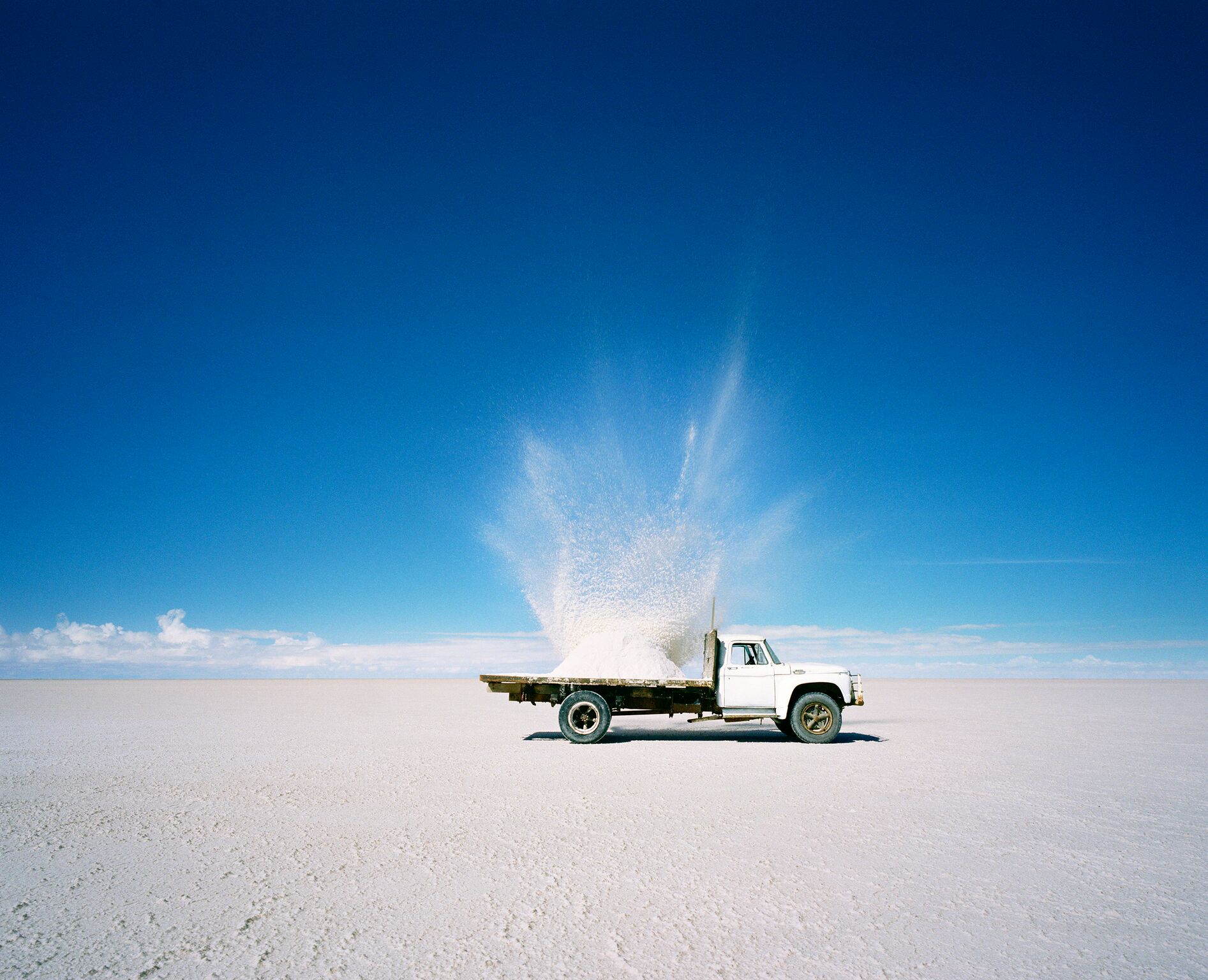 Toolbox: Scarlett Hooft Graafland's Dynamite - ELEPHANT