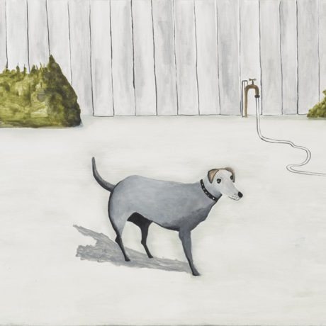 12. Noel McKenna_Backyard Scene, Domestic Dog with 3 legs_2013