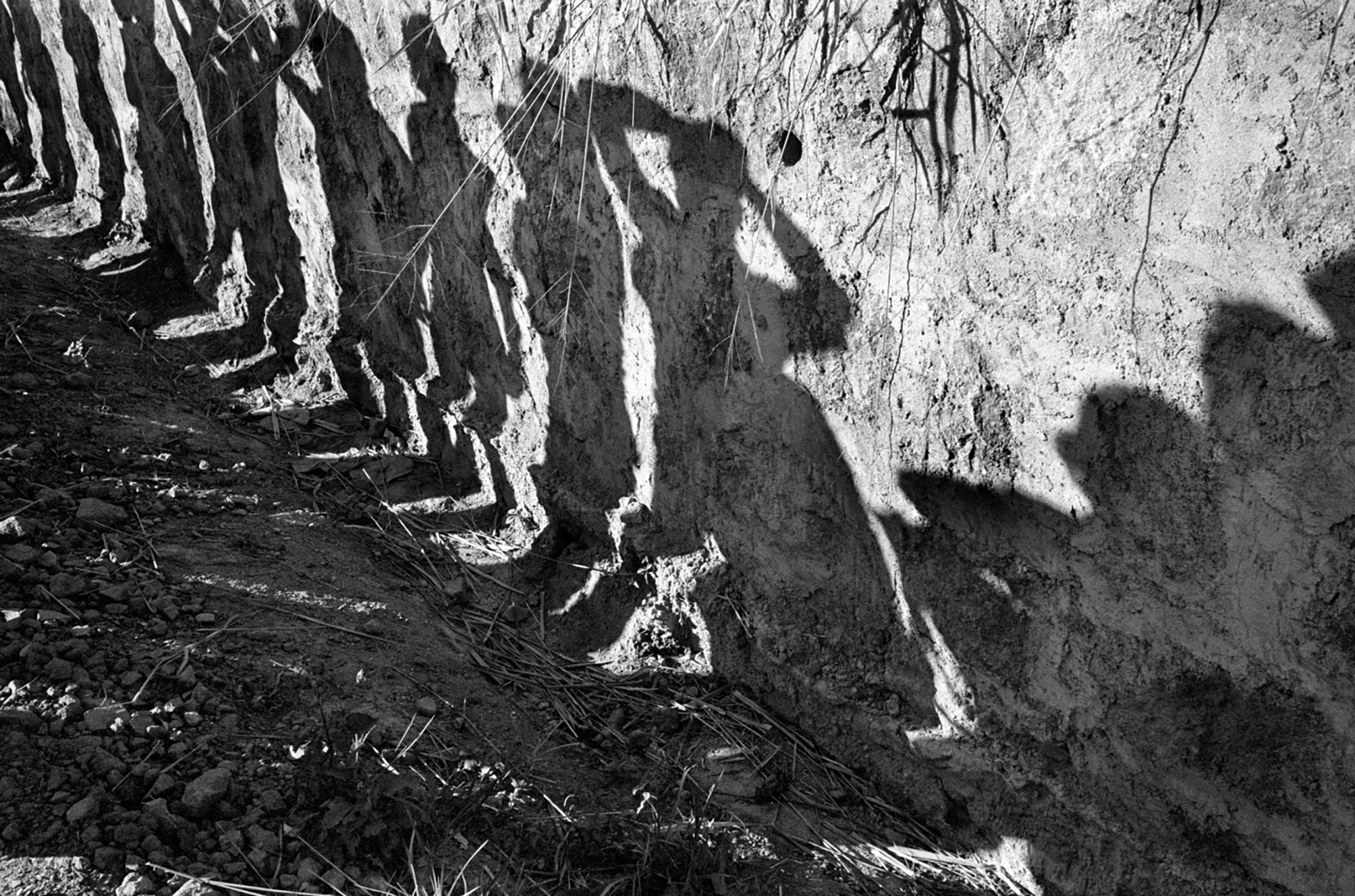 Susan Meiselas, Soldiers searching bus passengers on the Northern highway, El Salvador, 1980 Â© Susan Meiselas_ Magnum Photos