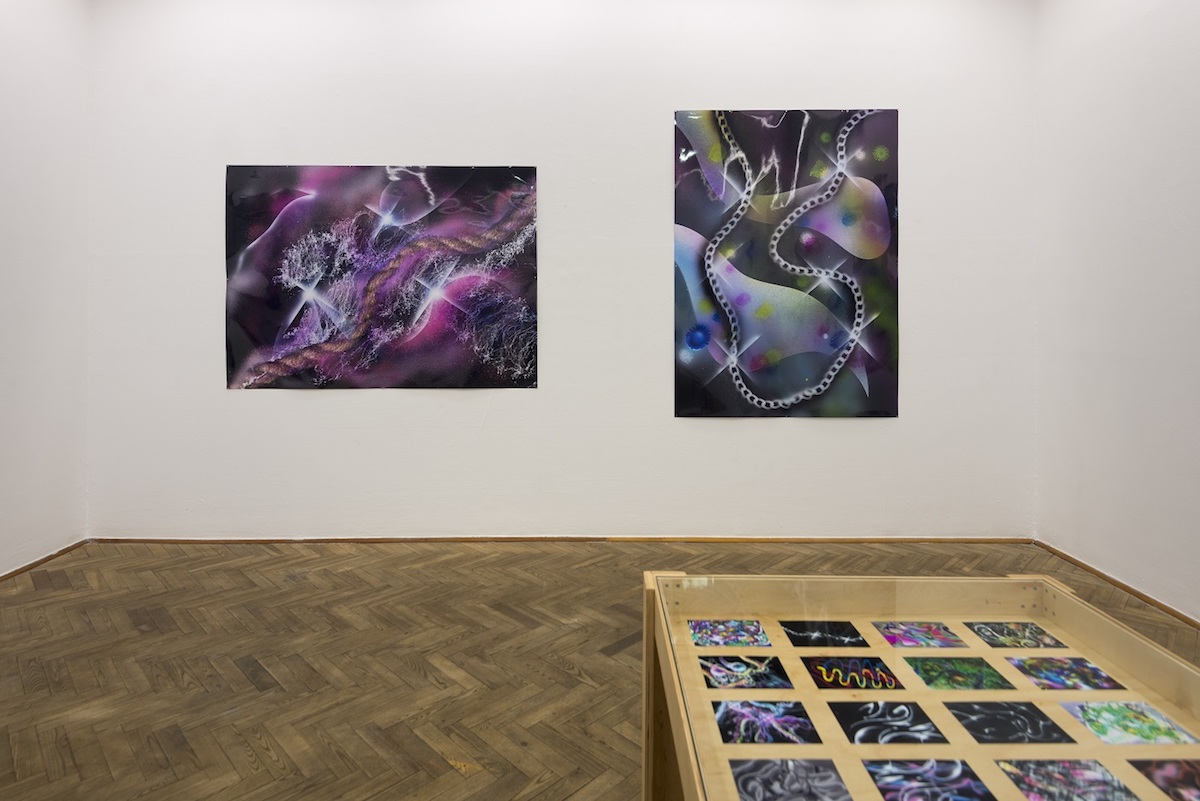 Exhibition view of Slawomir Pawszak, Laniakea at Galerie Foksal, 2018
