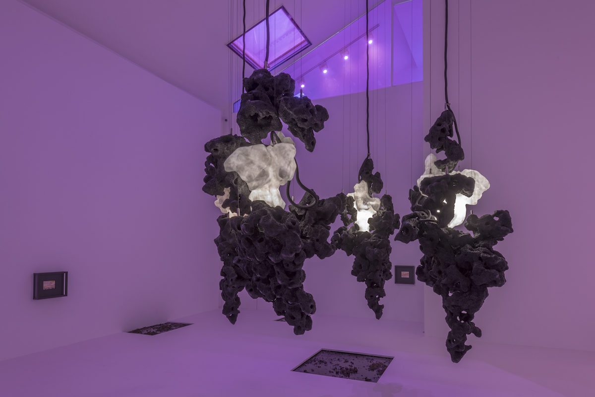 Loris Gréaud, Lady Rogeurs, installation view, Galerie Max Hetzler Paris, 2018. Courtesy the artist and Galerie Max Hetzler, Berlin | Paris