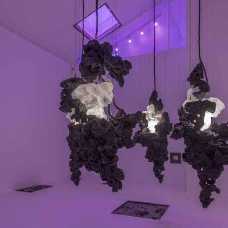 Loris Gréaud, Lady Rogeurs, installation view, Galerie Max Hetzler Paris, 2018. Courtesy the artist and Galerie Max Hetzler, Berlin | Paris