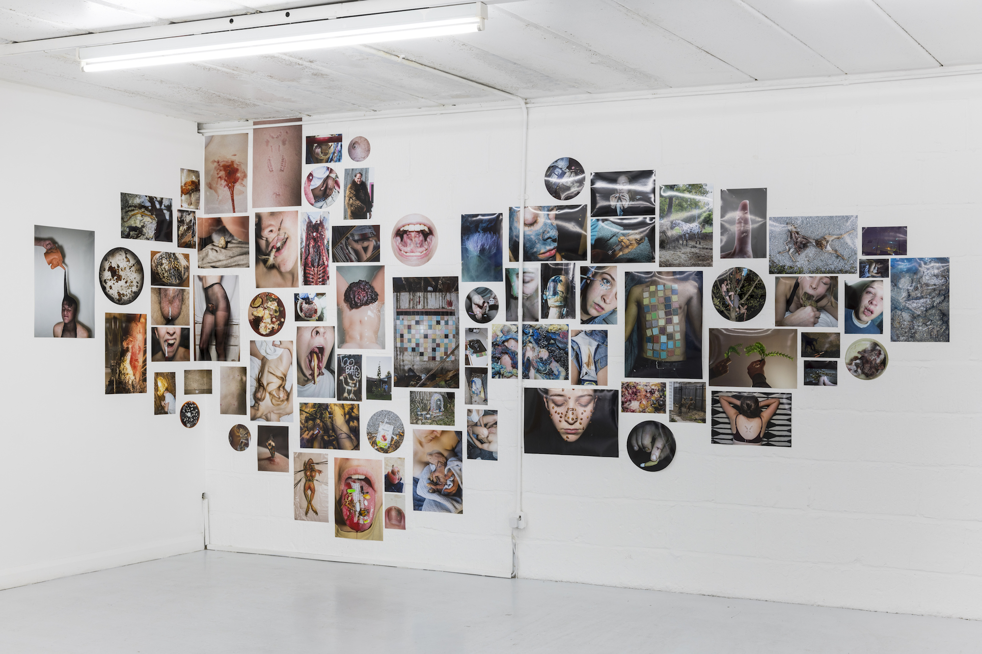 H The Experience of Youth, Robin Haithcoat, Samuel Barry, Alex F. Webb - installation view photo credit Damian Griffiths 
