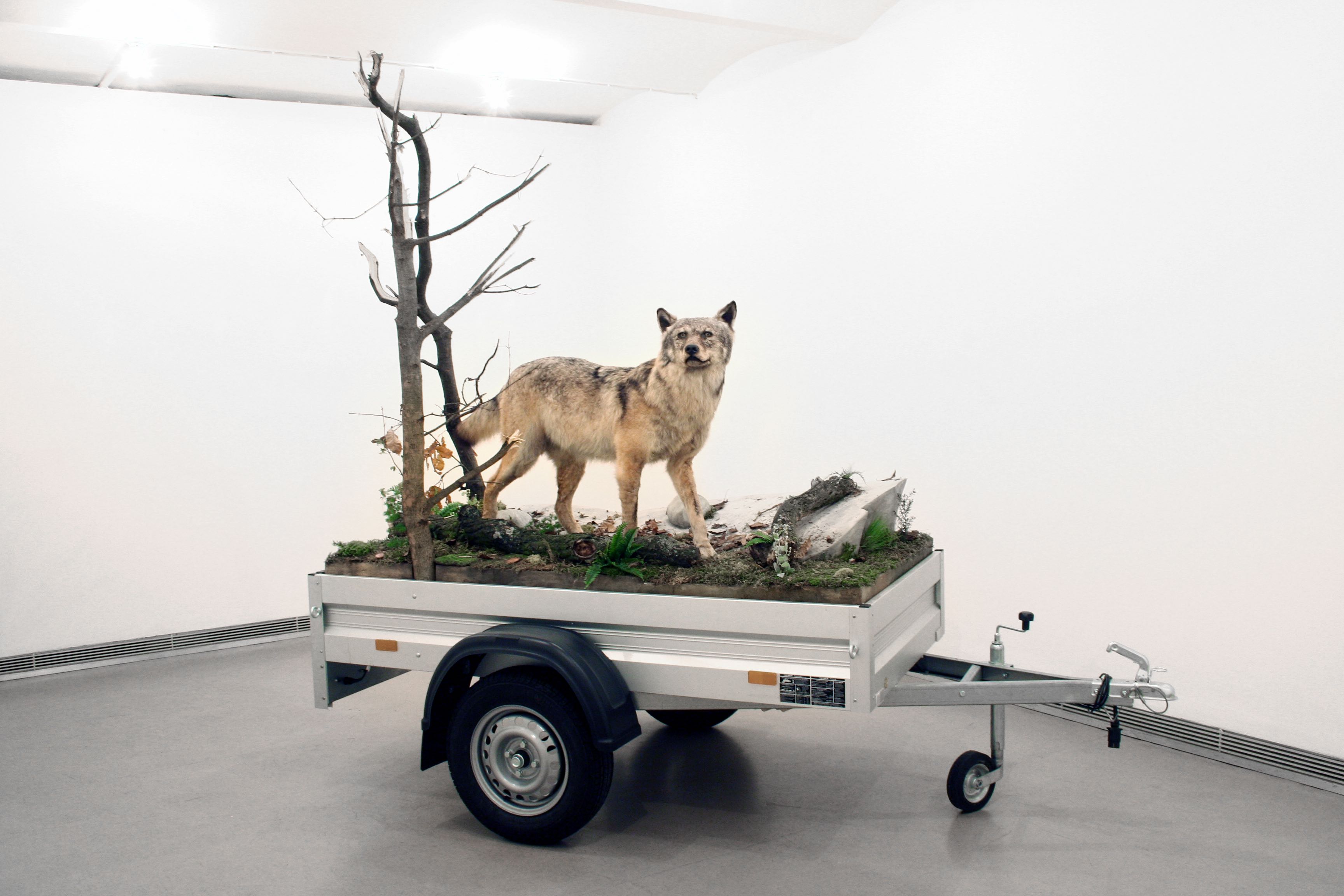 Mark Dion, Mobile Wilderness Unit - Wolf, 2006