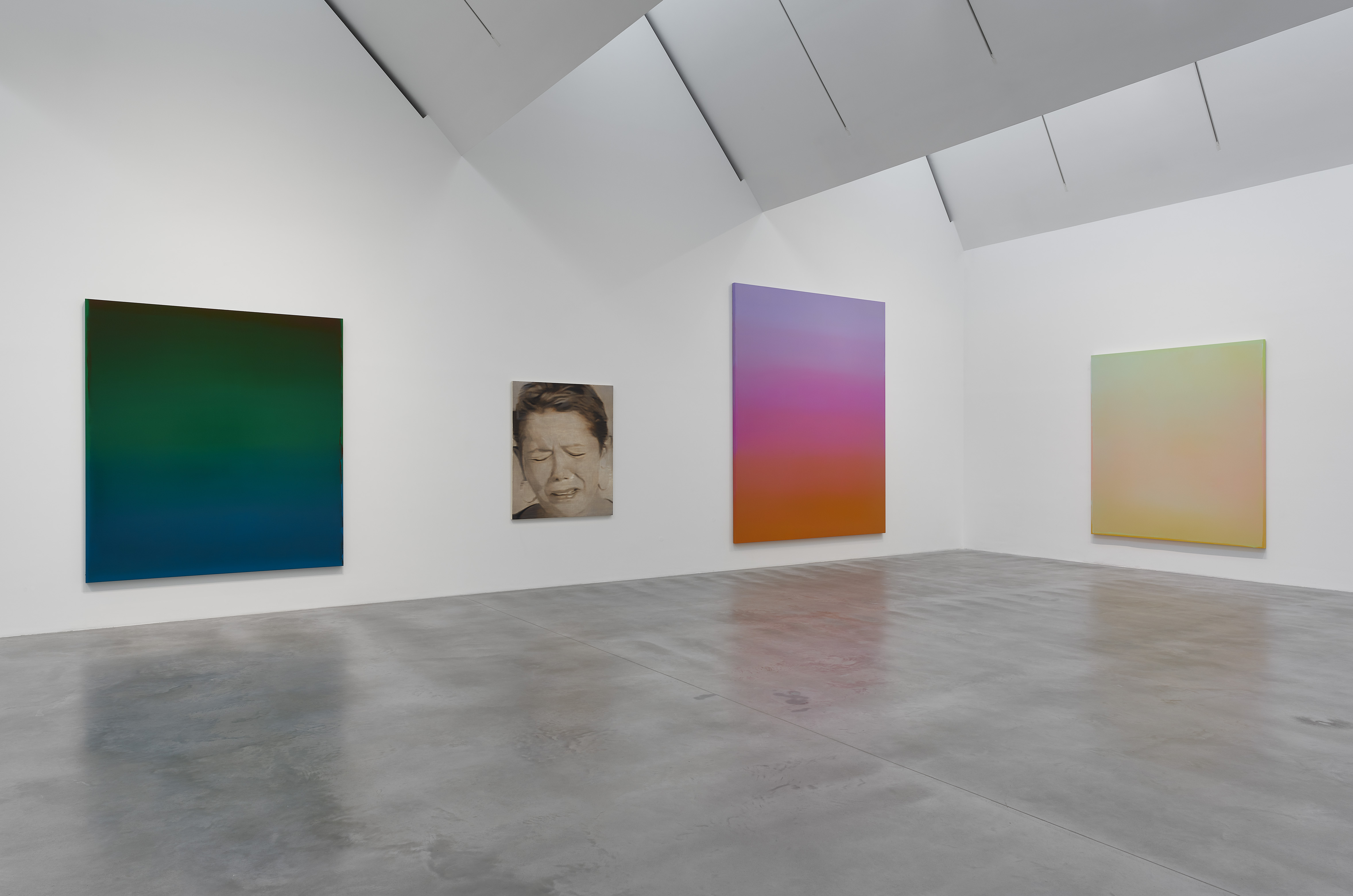 Installation view, True Colours, courtesy Newport Street Gallery