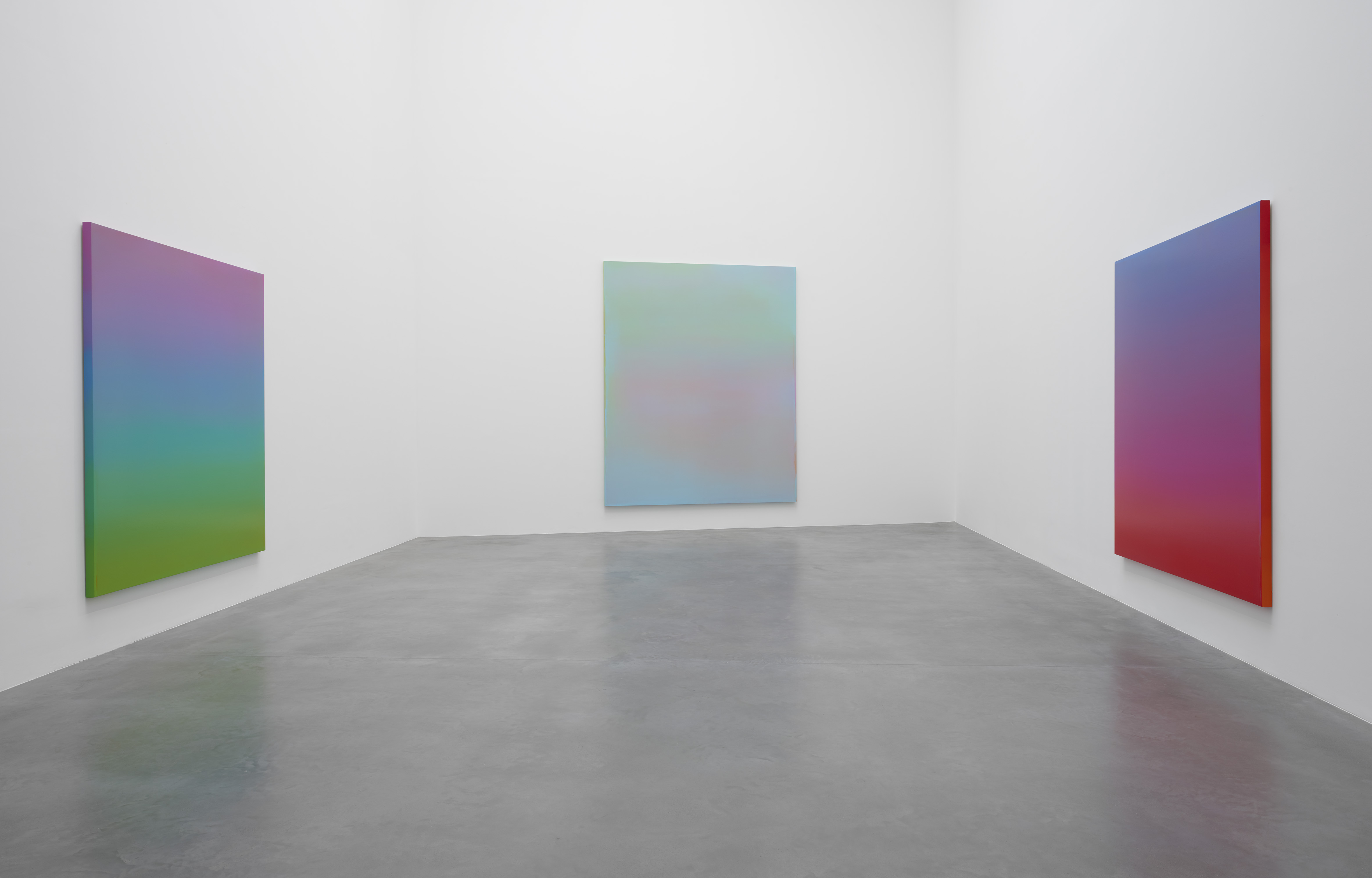 Installation view, True Colours, courtesy Newport Street Gallery