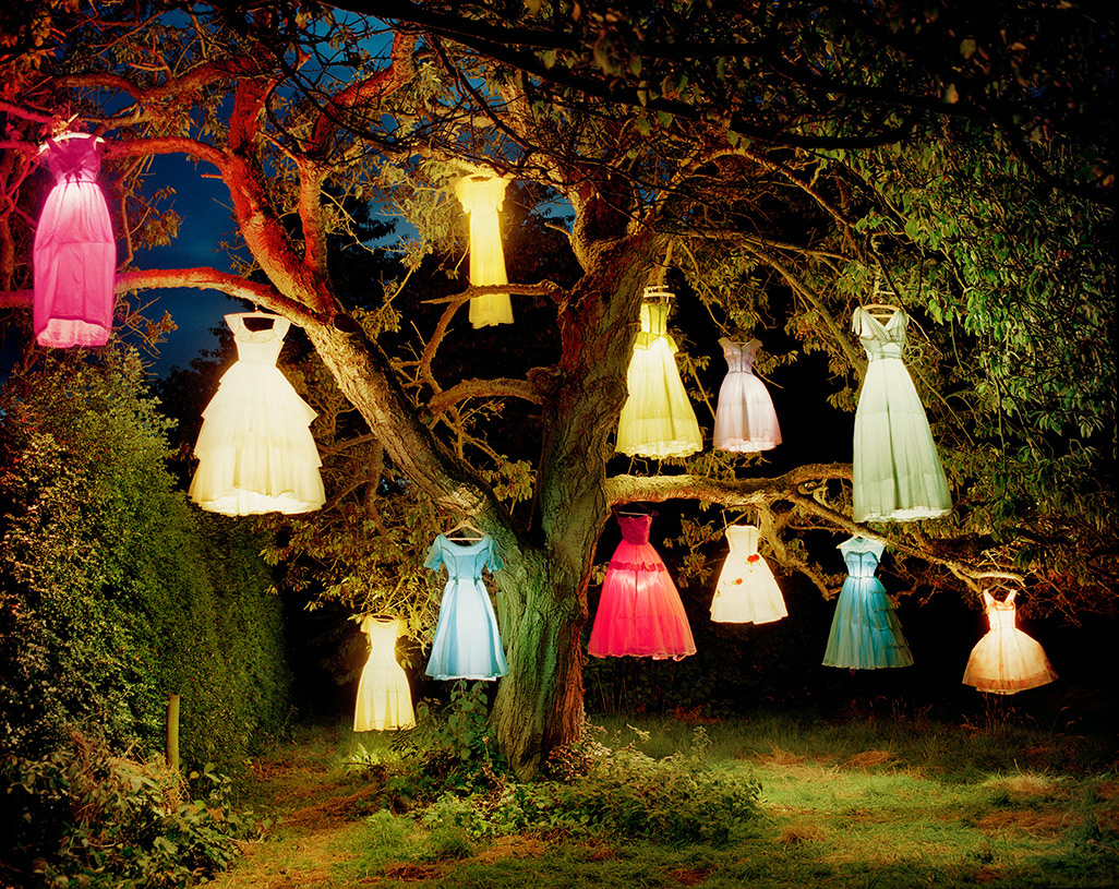 The Dress-Lamp Tree, England, 2002, Tim Walke