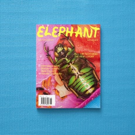 Elephant 36