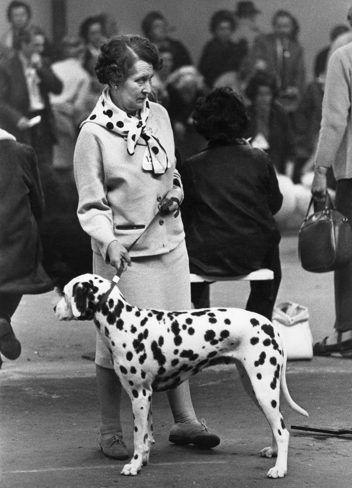 â€˜Dog Show 1961-1978 by Shirley Baker is published by Hoxton Mini Press. Â© Estate of Shirley Baker/Mary Evans Picture Library.â€™
