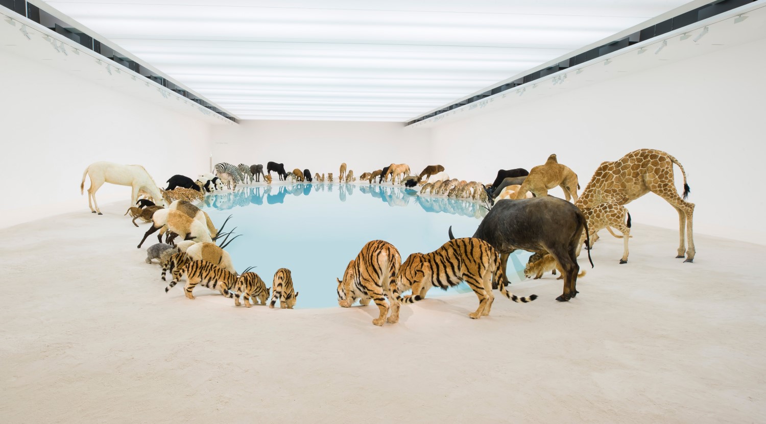 Cai Guo-Qiang, Heritage, 2013, 99 life-sized replicas of animals, water, sand, drip mechanism, dimensions variable, installation view, Queensland Gallery of Modern Art,, Brisbane, 2013. Picture credit: Cai Guo-Qiang Photograph: Natasha Harth, QAGOMA / Commissioned by with funds from the Josephine Ulrick and Win Schubert Diversity Foundation through and with the assistance of the Queensland Art Gallery Â© Gallery of Modern Art Foundation (pages 14-15)