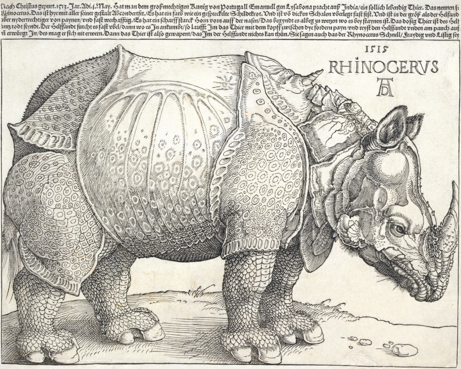 Albrecht DÃ¼rer, Rhinocerus (Rhinoceros), 1515, woodcut print
