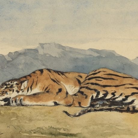 Eugène Delacroix, Tiger, c.1830, watercolour,