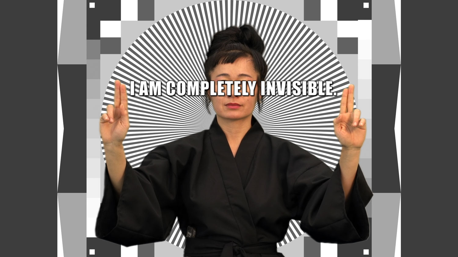 Hito Steyerl How Not to Be Seen: A Fucking Didactic Educational .MOV File