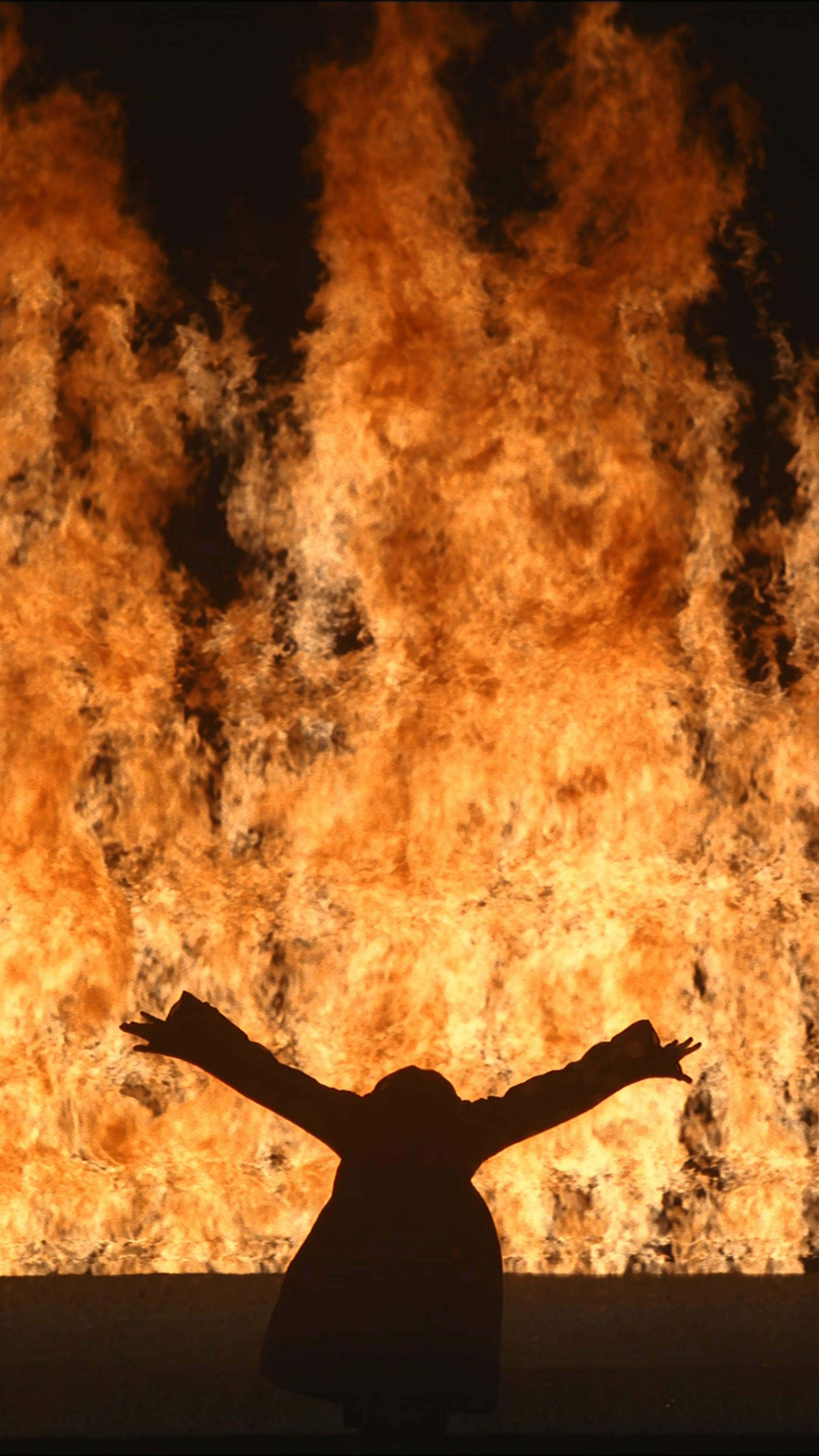 flames bill viola lady art artist fire 