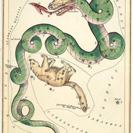 Draco from Urania’s Mirror, or A View of the heavens by Jehoshaphat Aspin. Samuel Leigh: London, 1834. British Library, London.