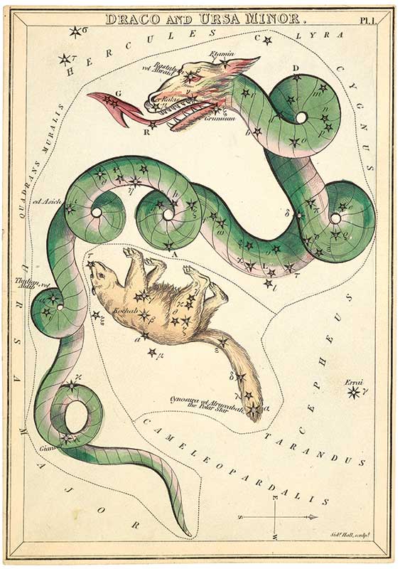 Draco from Uraniaâ€™s Mirror, or A View of the heavens by Jehoshaphat Aspin. Samuel Leigh: London, 1834. British Library, London. 