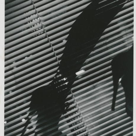 Sandy Stagg and the Miss General Idea Shoe (Shadow), 1975