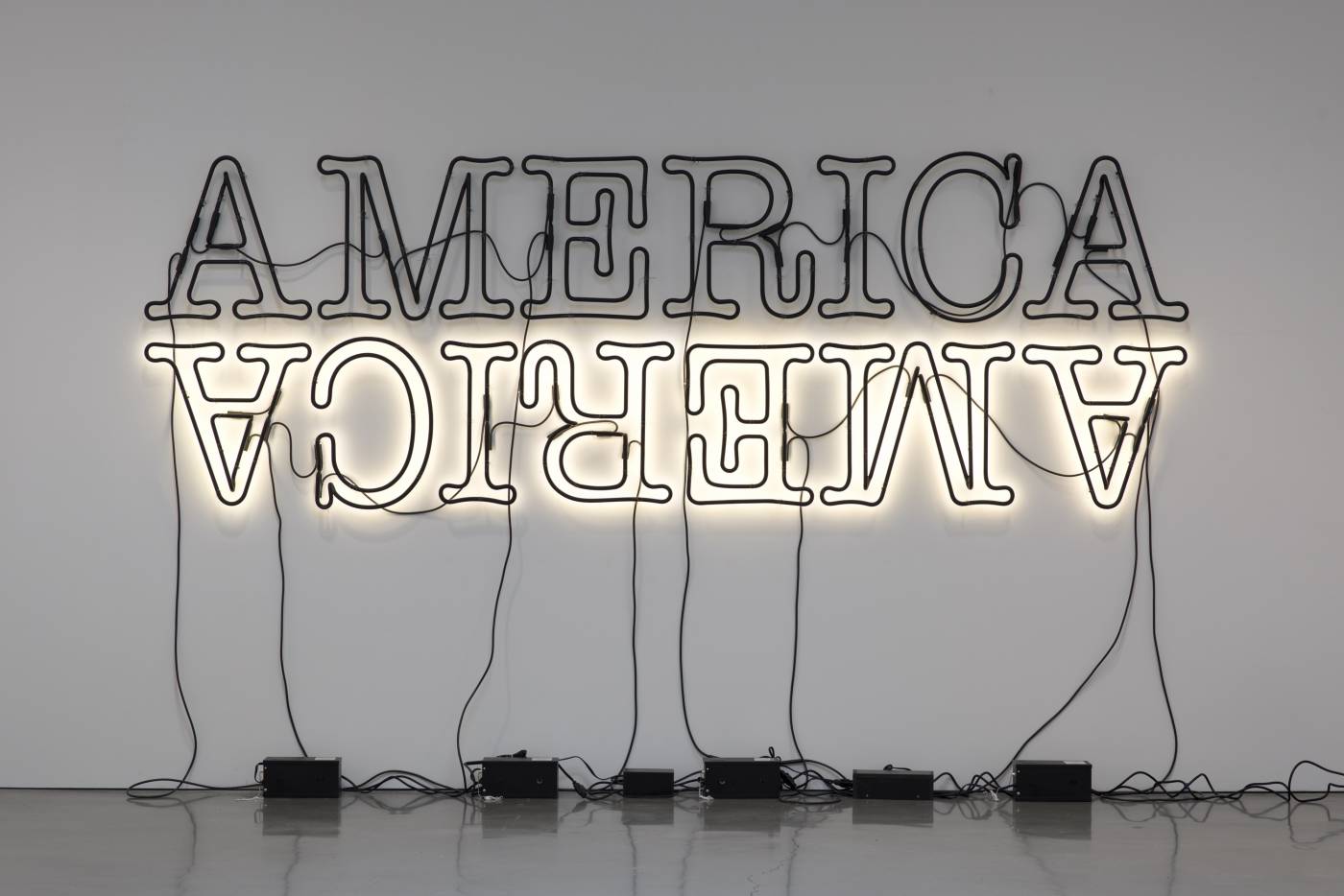 Glenn Ligon, Double America 2, Â© Glenn Ligon; Image courtesy of the artist, Luhring Augustine, New York, Regen Projects, Los Angeles, and Thomas Dane Gallery, London.