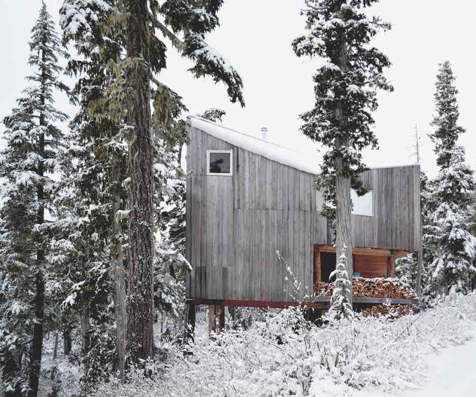 Scott & Scott Architects: Alpine Cabin, Vancouver Island, Canada. Photograph Â© 2019 Scott & Scott Architects