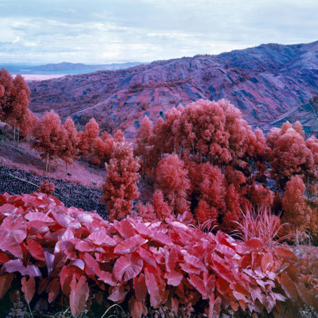 Richard-Mosse-I-Shall-Be-Released-2015-Courtesy-of-the-artist-and-carlier-gebauer