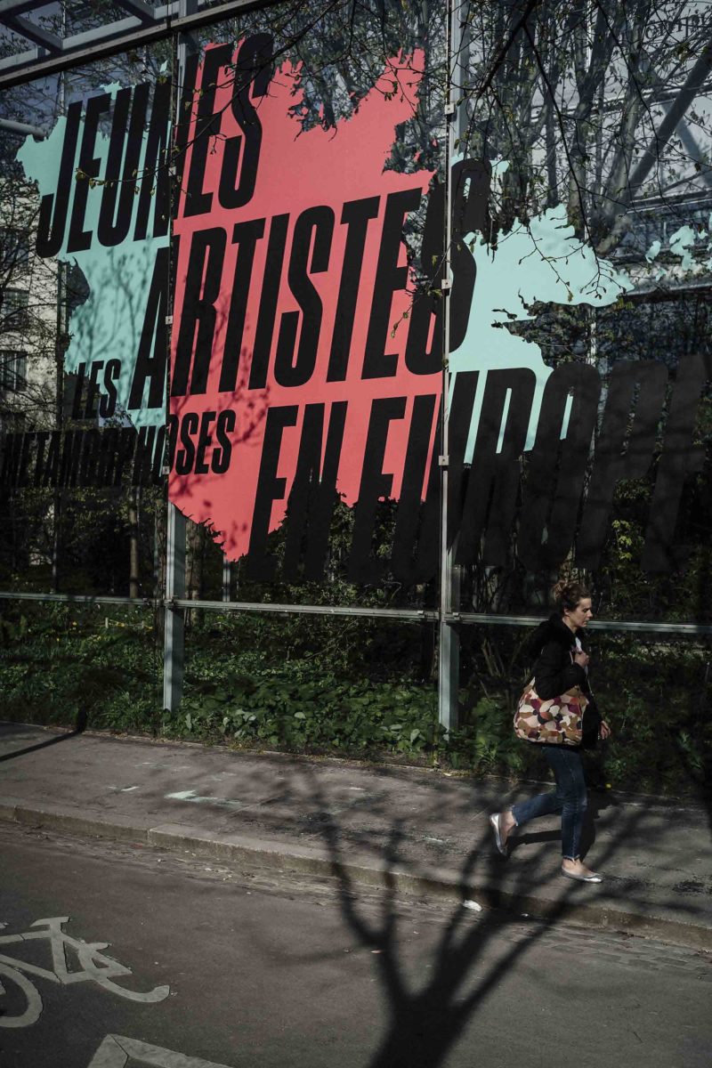 Fondation Cartier pour l'art contemporain.  Jeunes artistes en Europe, Les Métamorphoses.