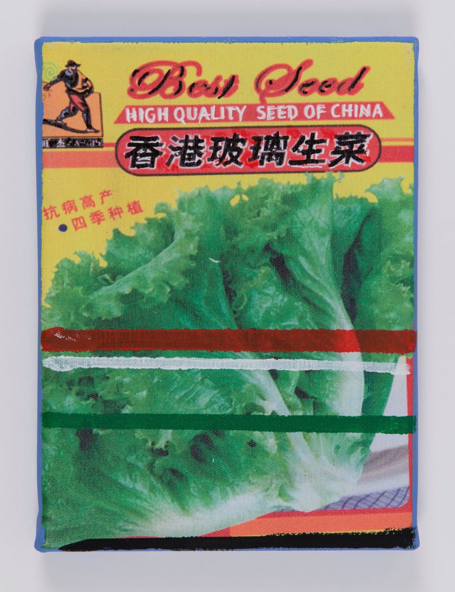 Jef GEYS, Chinese cabbage, from Seed bag series, 2018, Air de Paris 