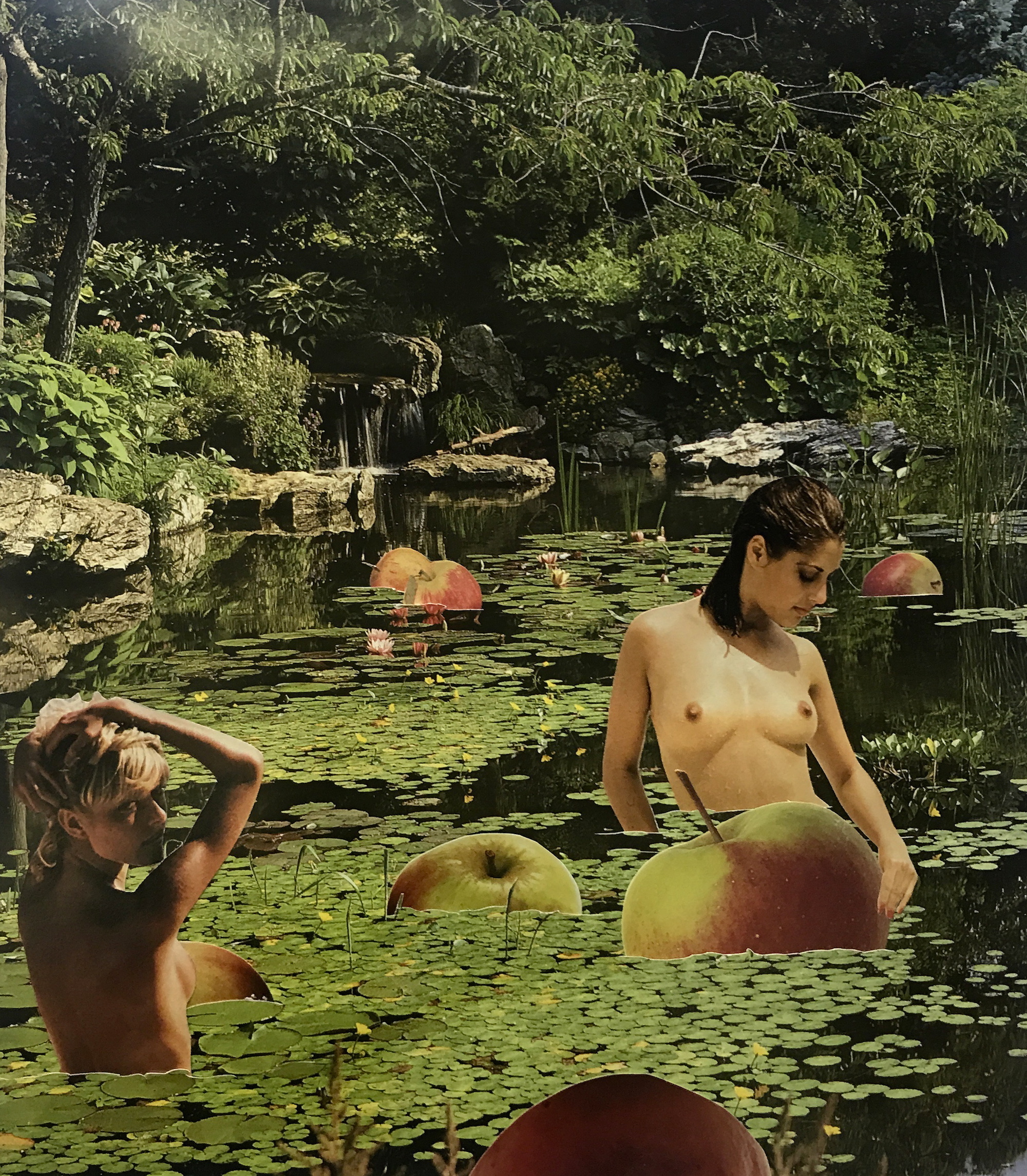 Olivia Brazier, Bobbing For Apples, 2019