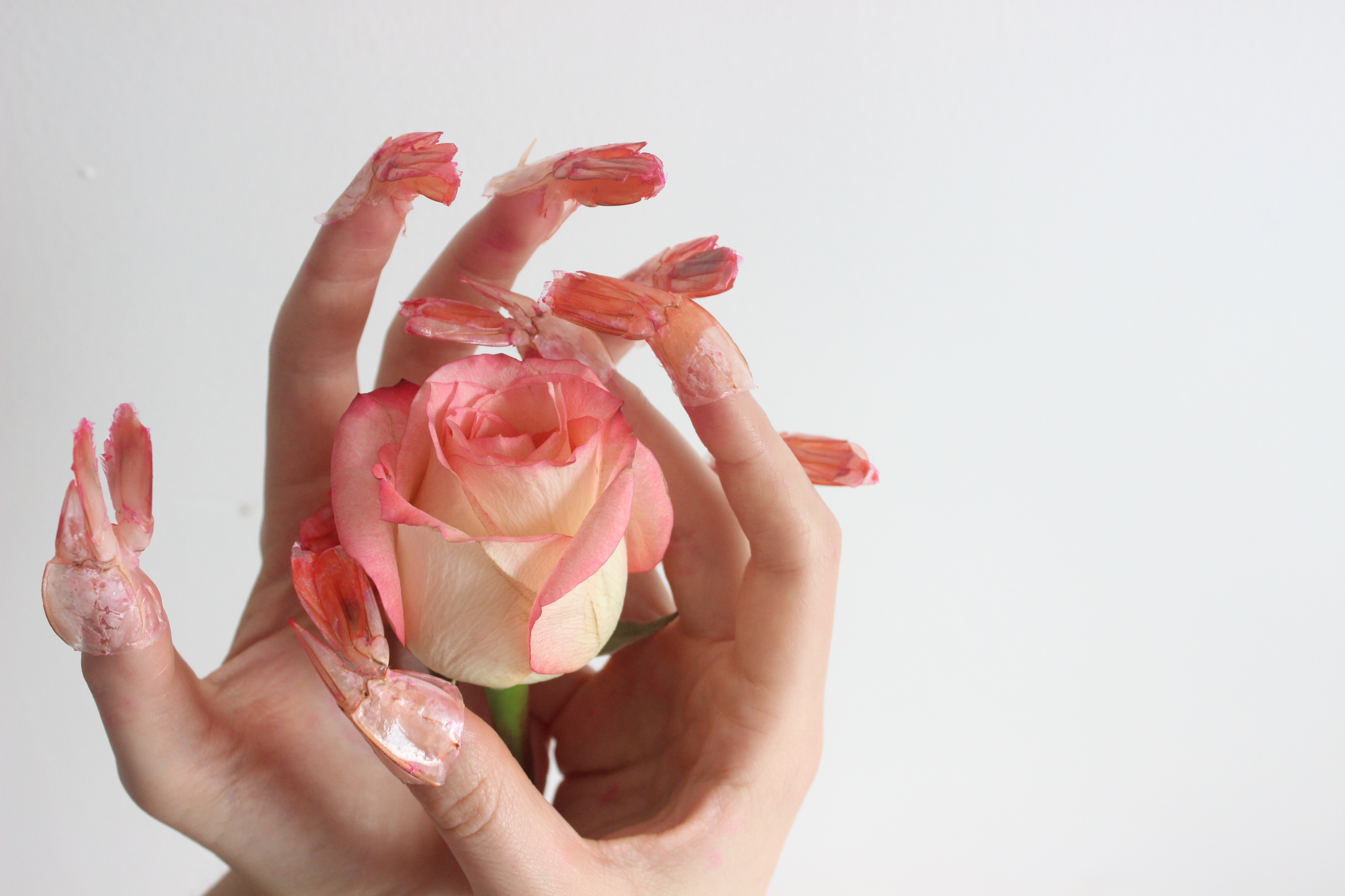 Pink Meal. Photo by Sarah Kinlaw