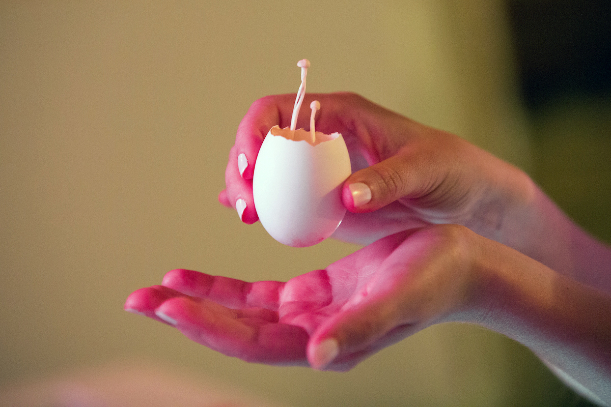 Chawanmushi with chicken, scallion, and enoki, served in eggshells out of an incubator. Photo by Walter Wlodarczyk