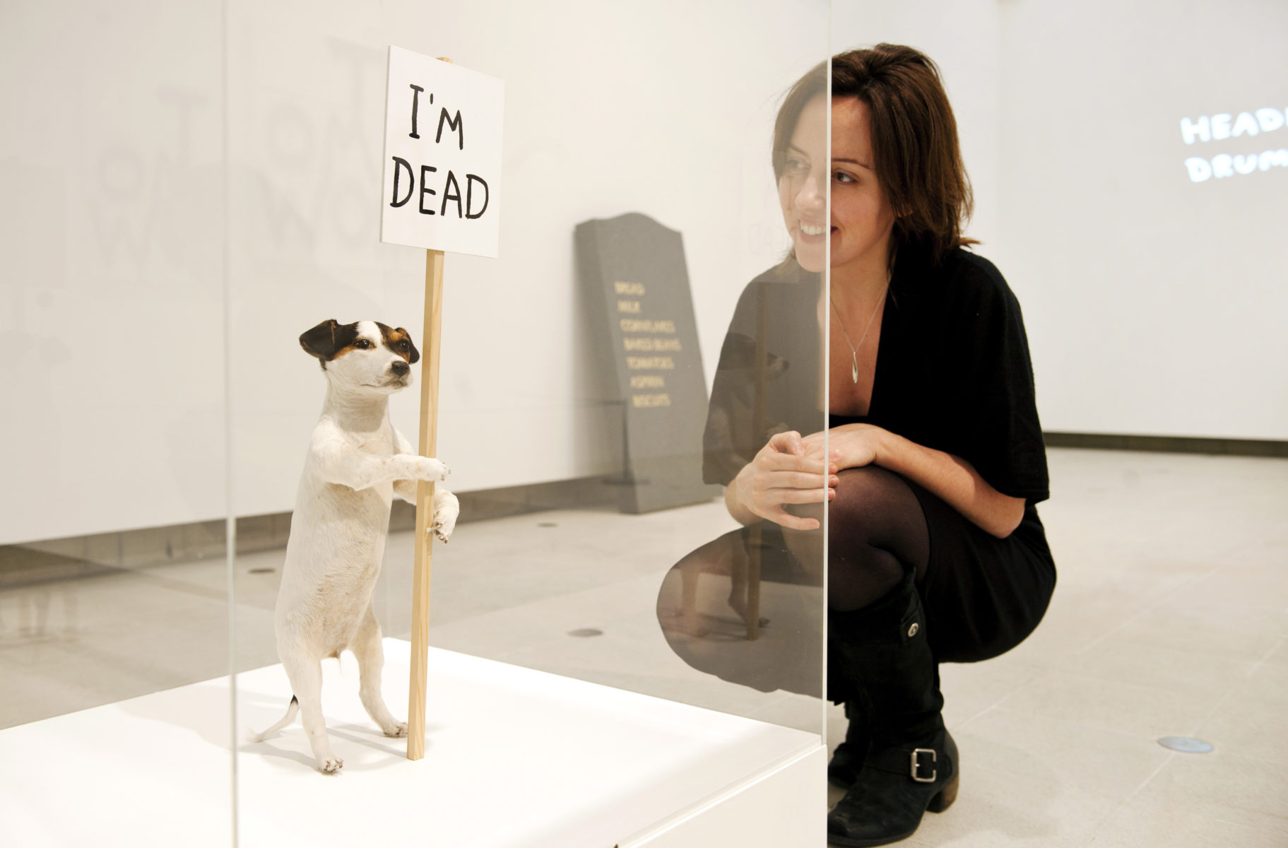 david shrigley, i'm dead, 2010, southbank