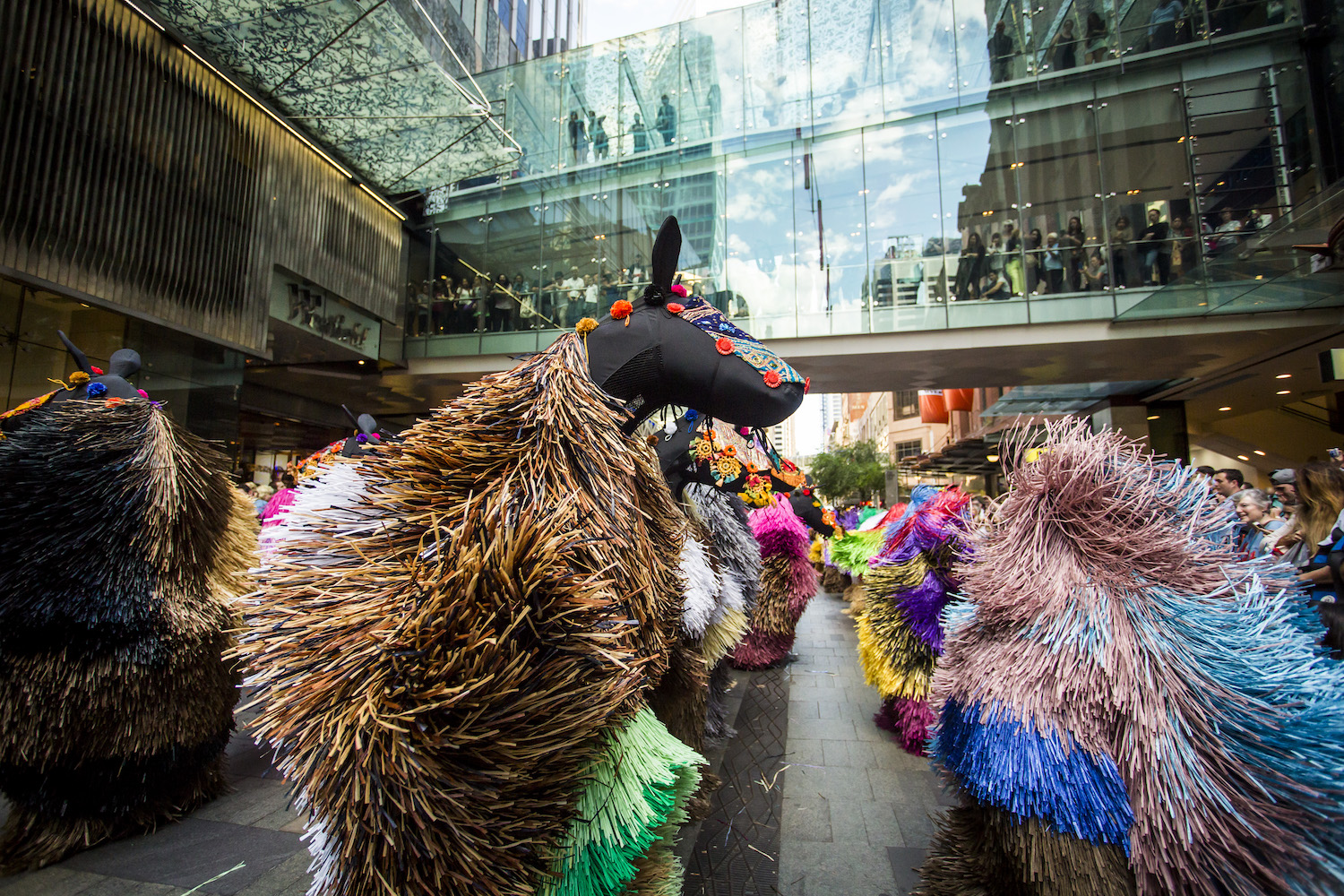 Nick Cave, Heard at Pitt Street Mall on November 10, 2016 in Sydney, Australia. Photo by Anna Kucera