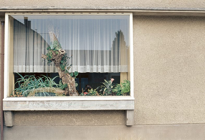 Luigi Ghirri, Images from Colazione sullâ€™Erba (MACK, 2019). Courtesy the estate of the artist and MACK