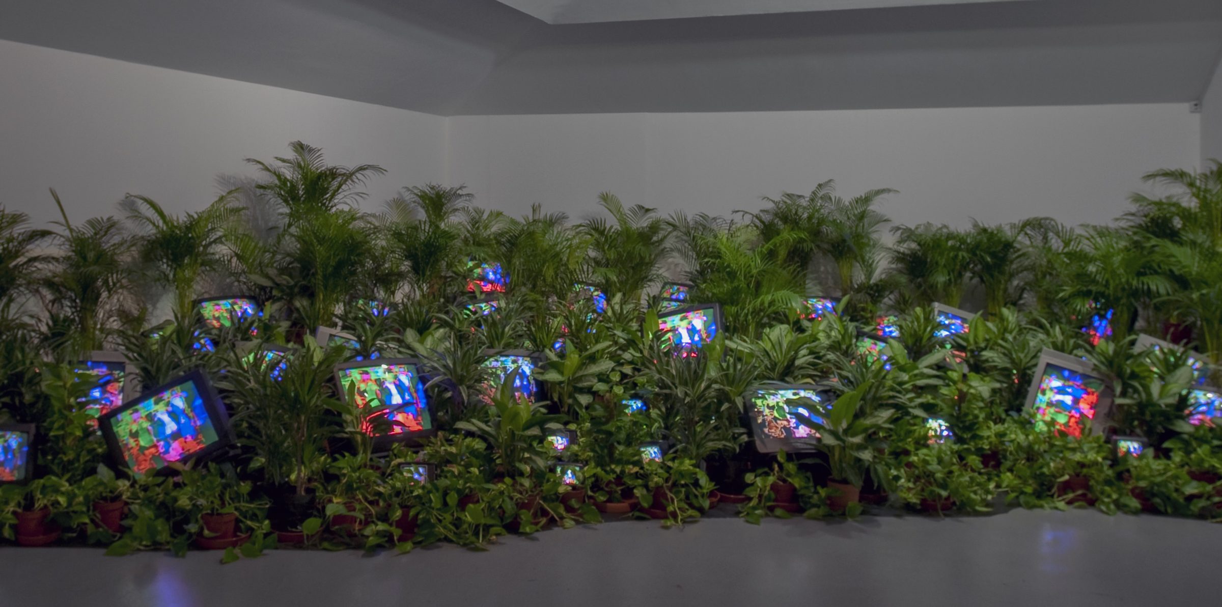 Single-channel video installation with live plants and colour television monitors; colour, sound. Courtesy Kunstsammlung Nordrhein-Westfalen, Dusseldorf © Estate of Nam June Paik