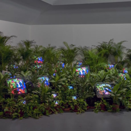 Nam June Paik, TV Garden 1974-1977 (2002).Courtesy Kunstsammlung Nordrhein-Westfalen, Dusseldorf