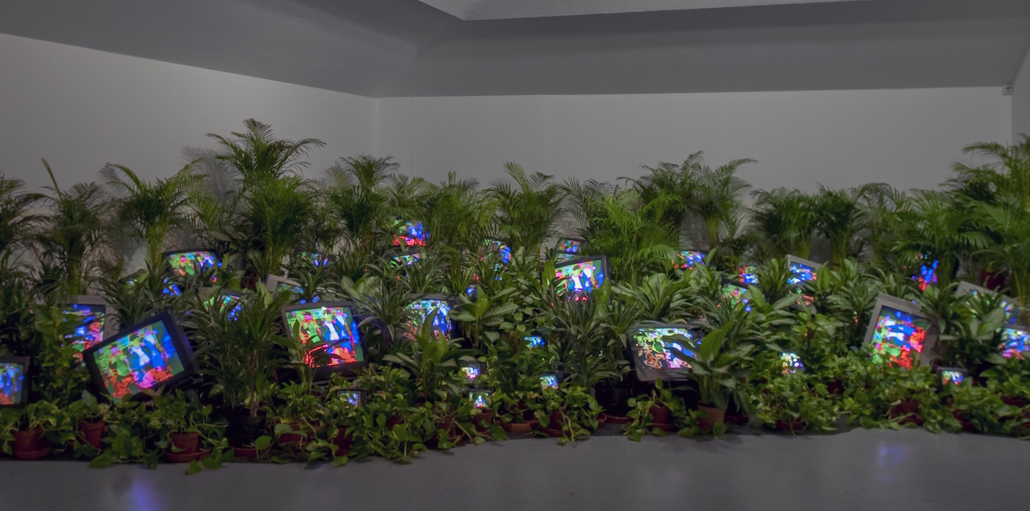 Nam June Paik, TV Garden 1974-1977 (2002).Courtesy Kunstsammlung Nordrhein-Westfalen, Dusseldorf