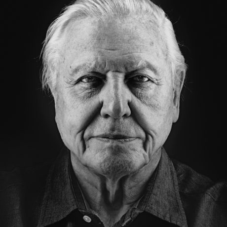 Nadav Kander, David Attenborough I, London, England, 2012