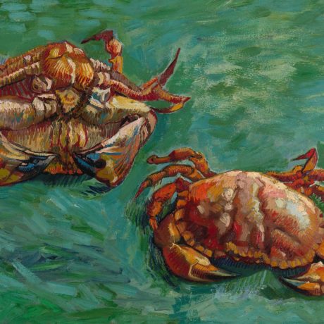 Vincent van Gogh, Two Crabs, 1889