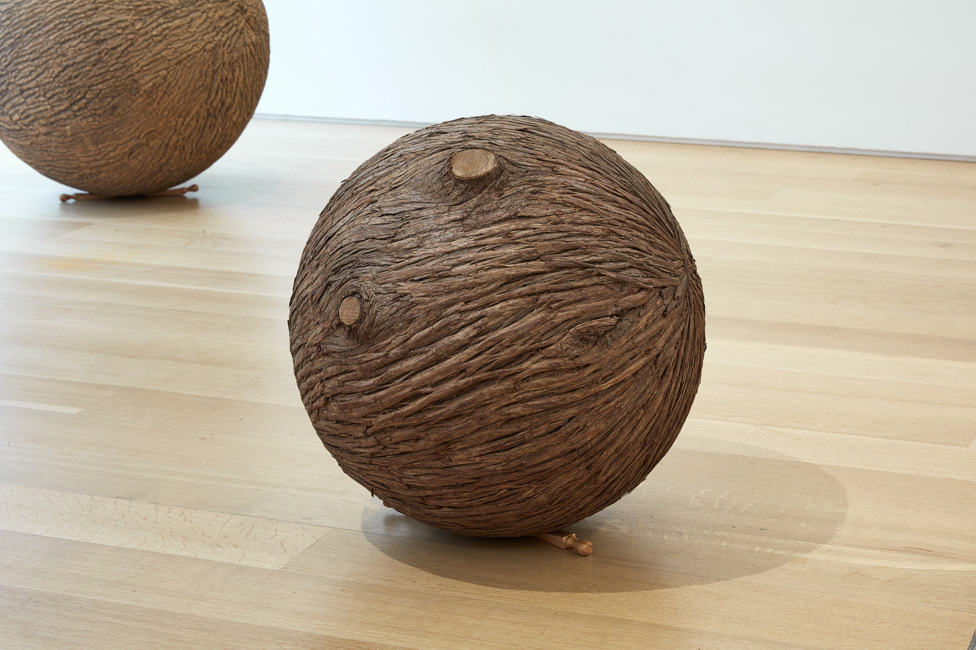 Treeball (Cedar) lars fisk