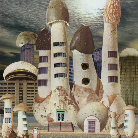 Seana Gavin Mushroom City Toadstool Citadel