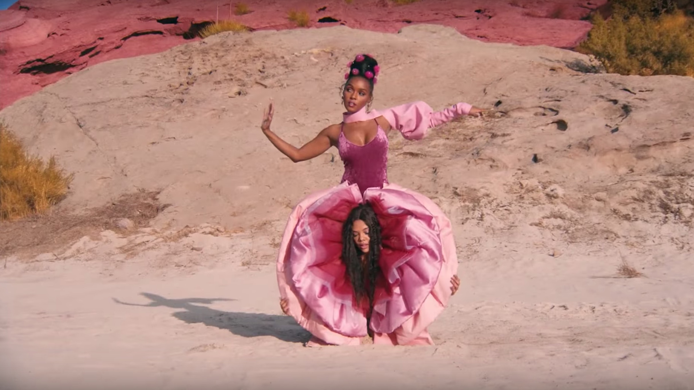 This Beat is Super-Yonic: Janelle Monáes PYNK Heralded the Age of the  Vulva - ELEPHANT