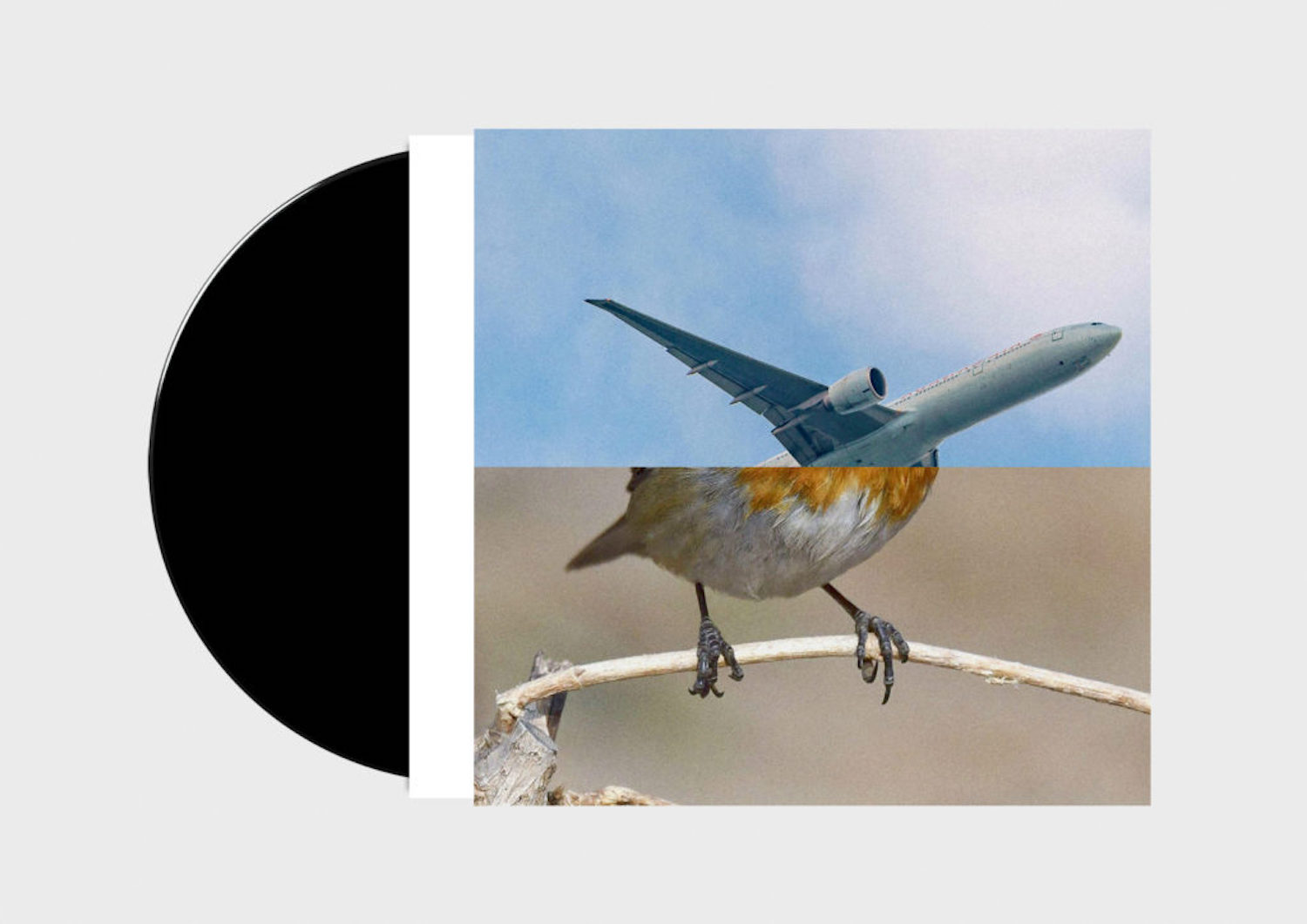 Anthony Burrill, Erik Kessels and Malcolm Goldie, Birds