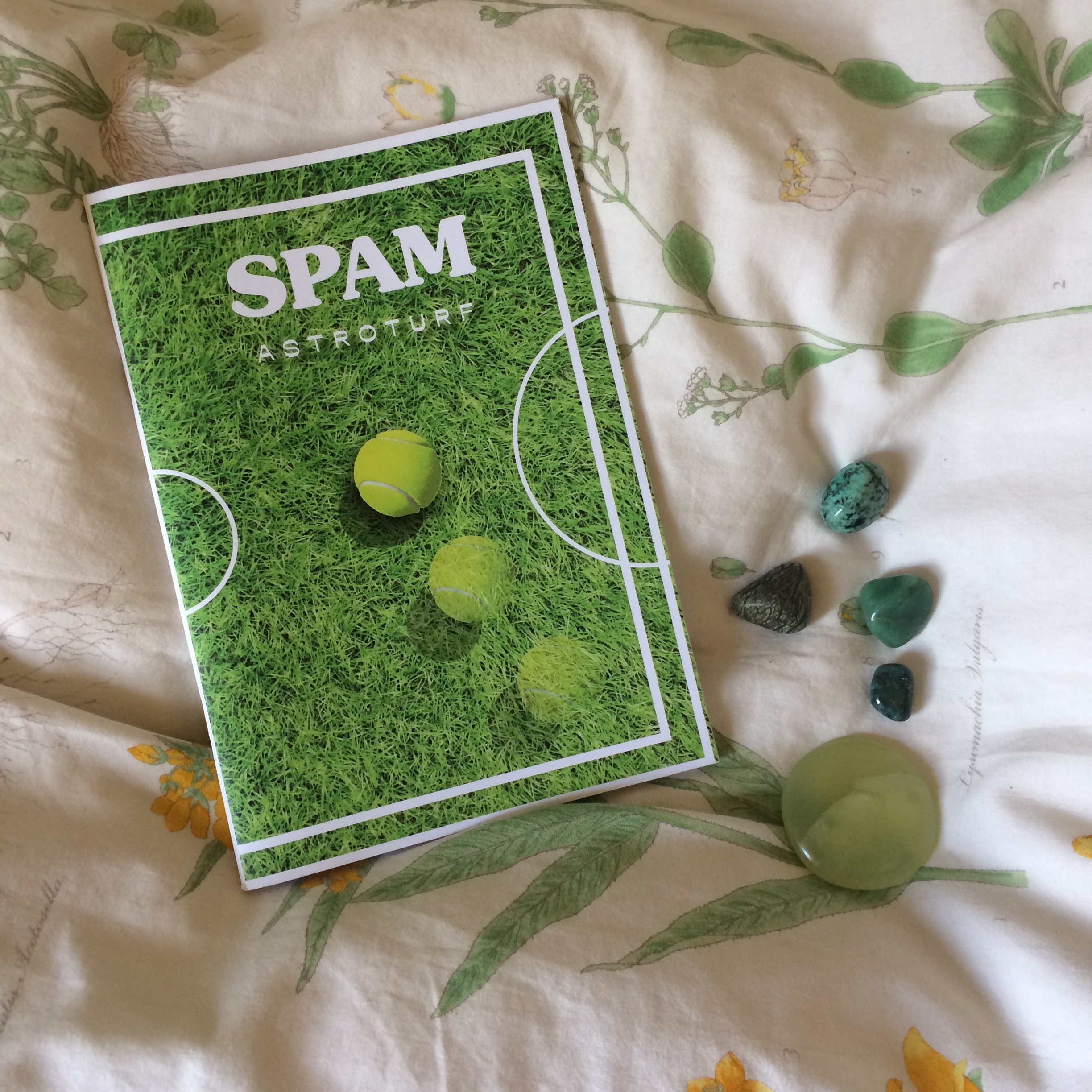 Spam #9, Astroturf