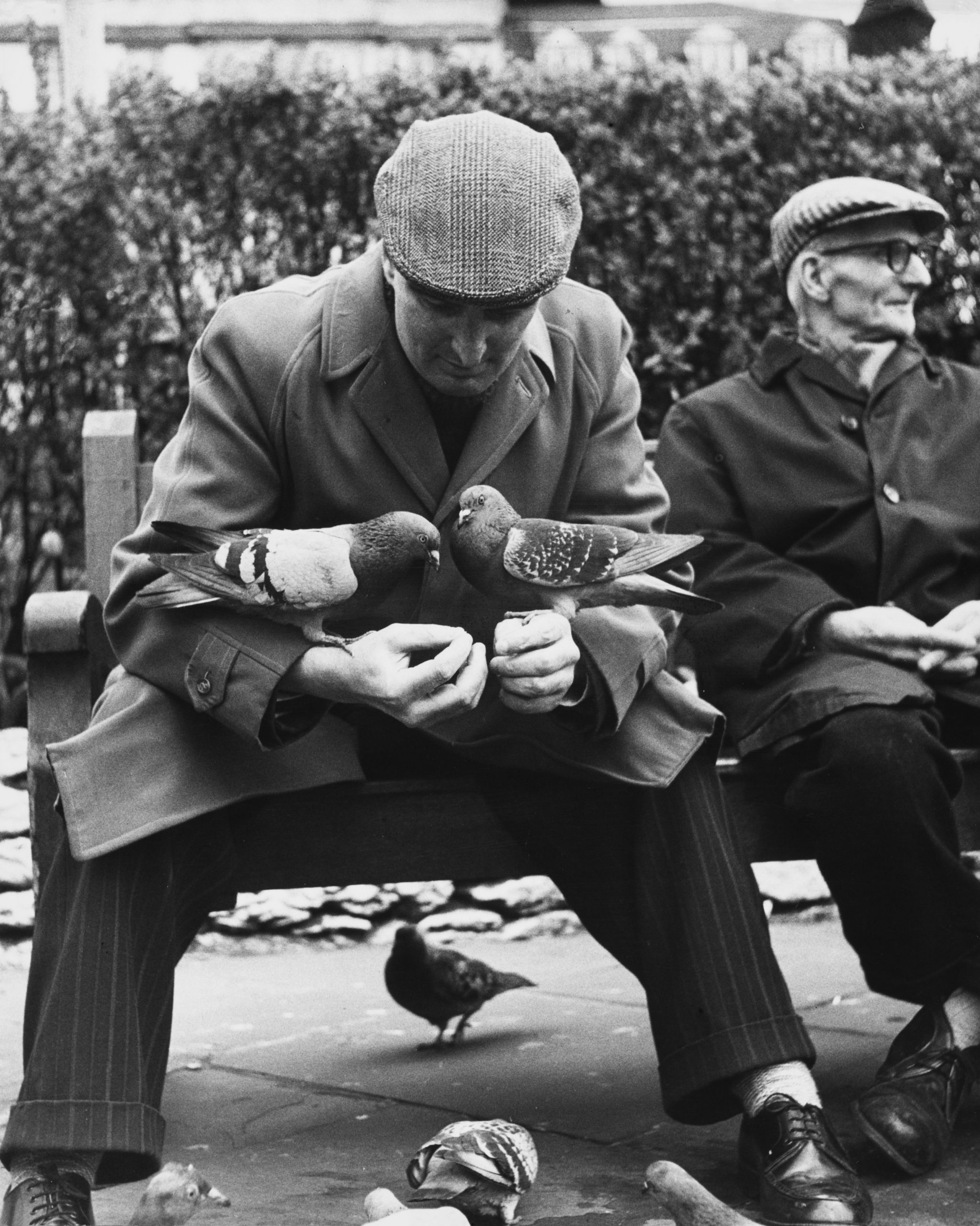 Shirley Baker, Manchester (Man with Pigeons), 1967