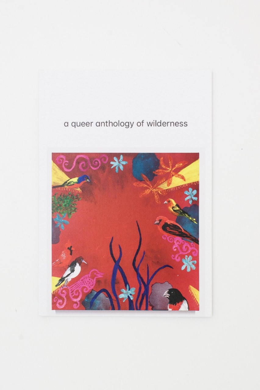 A Queer Anthology of Wilderness, Pilot Press