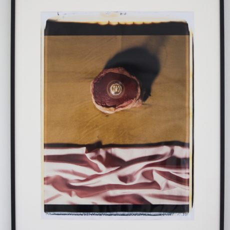 Helen Chadwick, Meat Abstract No. 1, Variation, 1989. Copyright The Artist. Courtesy of Richard Saltoun Gallery.