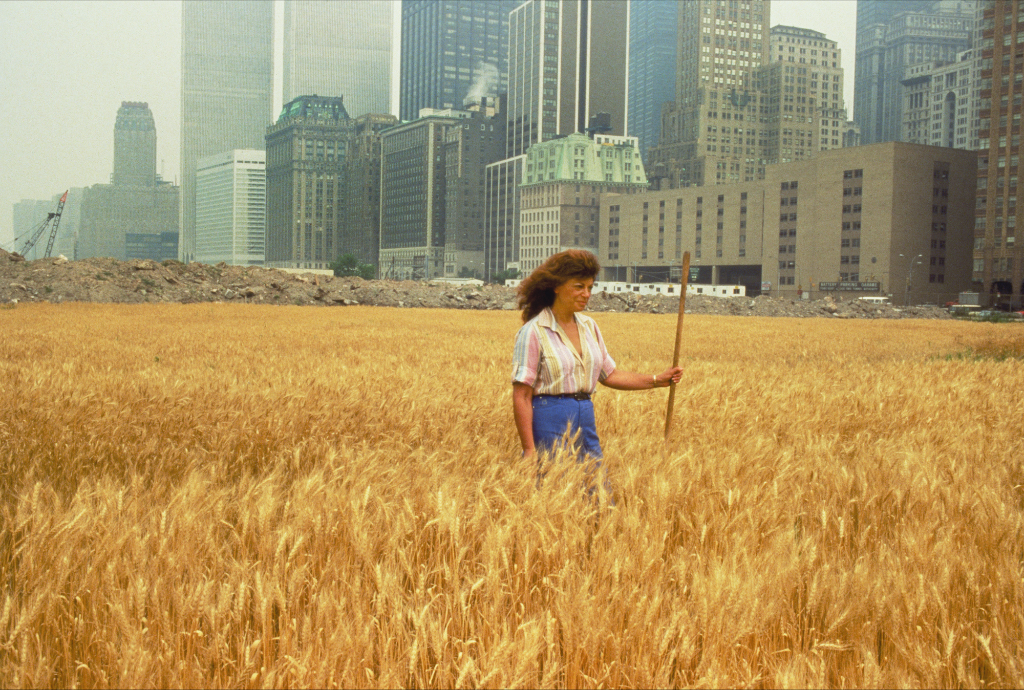 Wheatfield - A Confrontation: Battery Park Landfill, Downtown Manhattan - With Statue of Liberty Across the Hudson, 1982. Copyright Agnes Denes, courtesy Leslie Tonkonow Artworks + Projects, New York