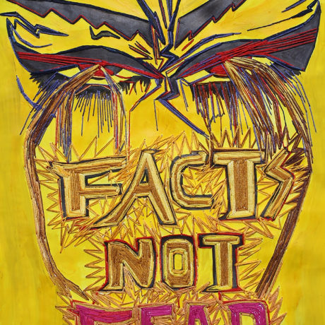 Nicole Chui, Facts Not Fear