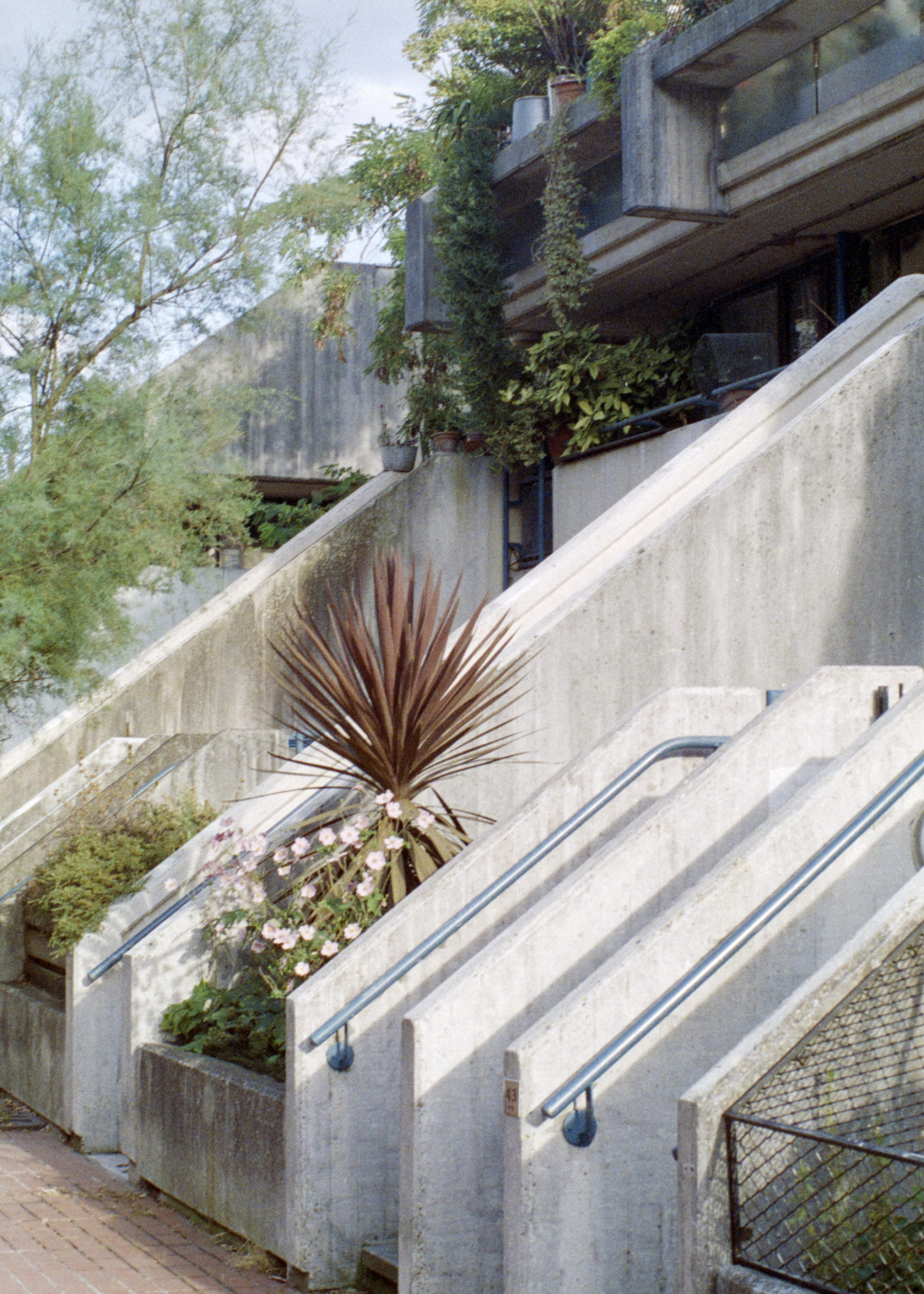 Miguel Santa Clara, Alexandra Road Estate, 2019