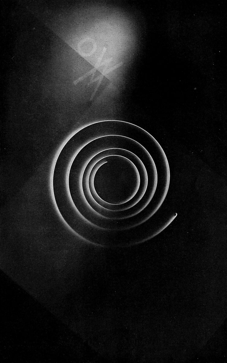 BB8_Moholy-Nagy_BILD_Seite063