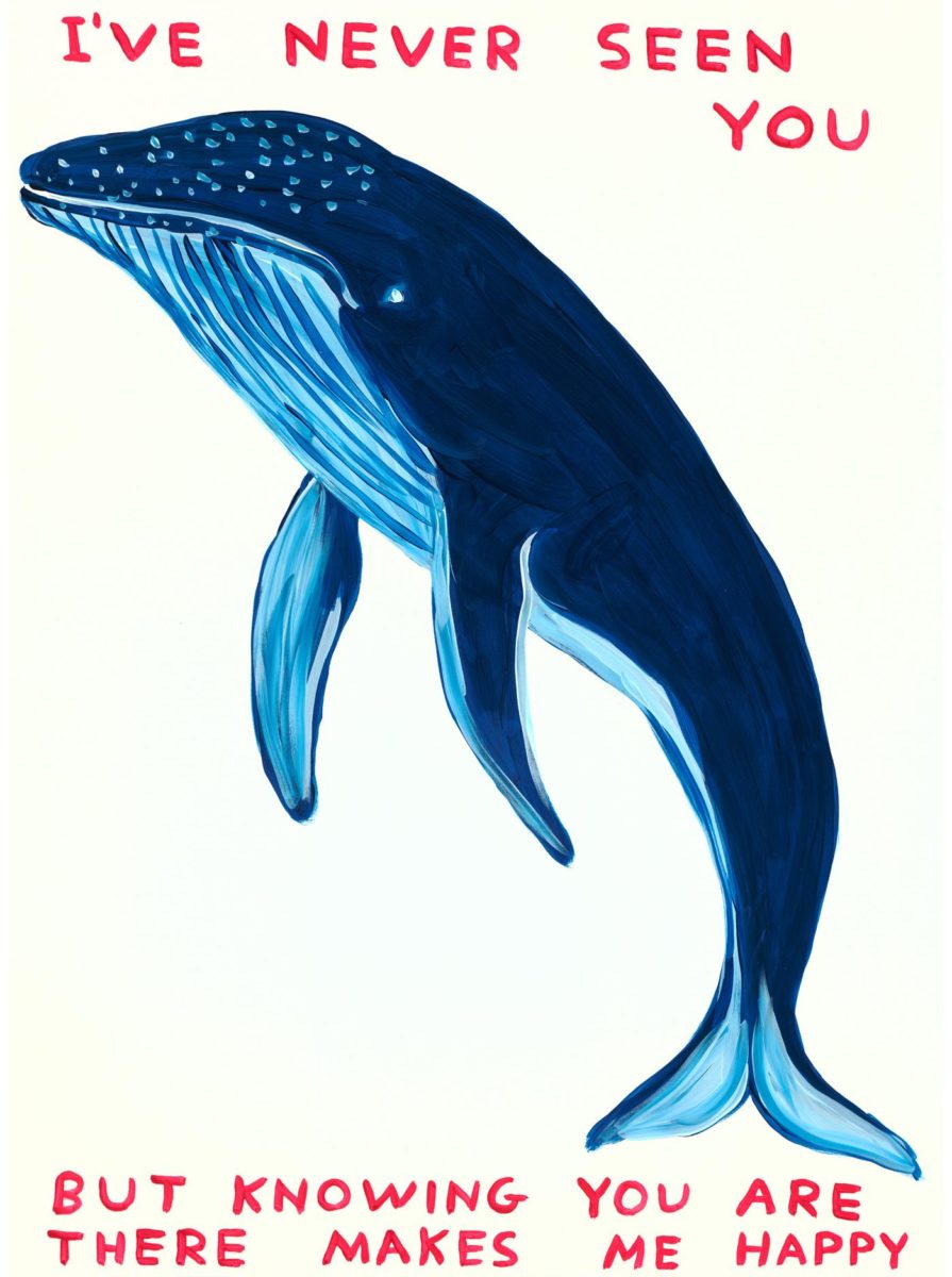 DS_Whale